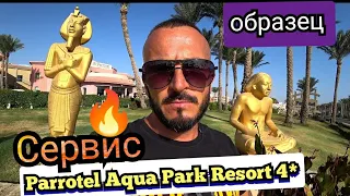 Египет🇪🇬 Новый обзор Parrotel Aqua Park Resort 4 Район Набк Завтрак територии номер пляж