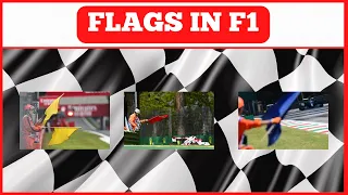 FLAGS IN F1 | WHAT DOES EACH FLAG MEAN?