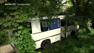 Tschernobyl - Die Natur kehrt zurück