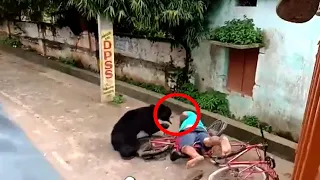 Top 5 Brutal Bear Attacks That Will Leave You In Shock!