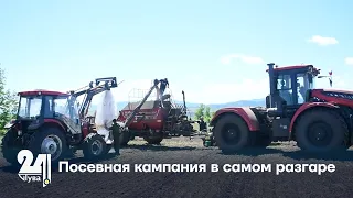 Посевная кампания в самом разгаре