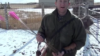 Longbow Cottontail Rabbit Hunt - Traditional Archery