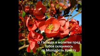 О, Господь в молитве пред Тобой склоняюсь. Группа Молодость Христу