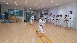 TATOOL 호동태권도 교구&도구교육 TAEKWONDO