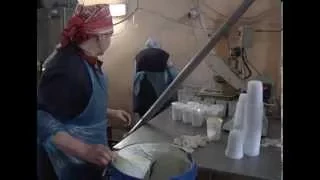 В Калининградской области полиция выявила нарушения на молокозаводе