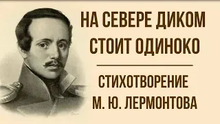 «На севере диком стоит одиноко» М. Лермонтов. Анализ стихотворения