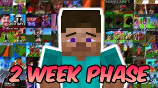 Why your 2 Week Minecraft phase Sucks