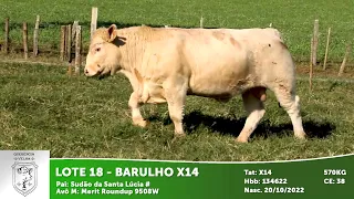 LOTE 18 - BARULHO X14