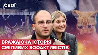 🥺 Львівські зооактивісти евакуювали з Запоріжжя наляканих тварин / Як працює Домівка?