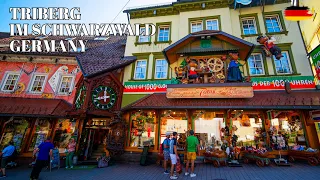 Triberg Walking Tour 🇩🇪: World's Largest Cuckoo Clocks and Germany's Largest Waterfall (Subtitles)