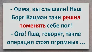 ✡️ Боря Кацман поменял себе Пол! Анекдоты про Евреев! Выпуск #62