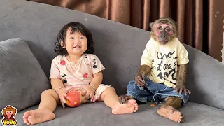 Monkey YoYo Jr  takes care of sister helps mom  When mom checks her hand