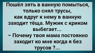 Теща Пришла в Ванную Когда Зять Снял Трусы! Сборник Свежих Анекдотов! Юмор!