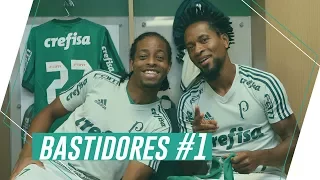 Bastidores da despedida de Zé Roberto #1