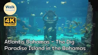 【4K60】 Walking - The Dig at Atlantis Bahamas