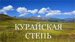 Altai Republic. Kurai steppe