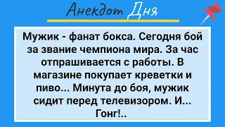 Мужик Скорострел, Неудовлетворенная Жена и Чемпионат по Боксу! Анекдот Дня для Настроения! Юмор!