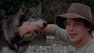 They became friends | White Fang (1991)