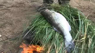 Finnish fish delicacies on an open fire