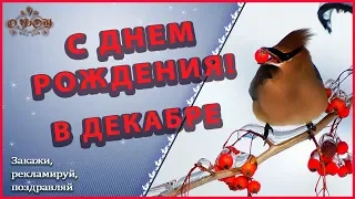 🌼🌼🌼 с днем рождения в декабре 💐Родившимся в декабре VIVAT