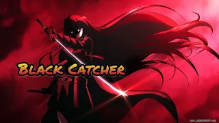 [MAD] Akame Ga Kill Opening『Black Catcher』VickelBlanka