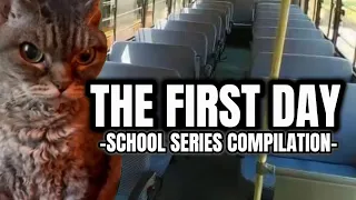 CAT MEMES: FIRST DAY OF SCHOOL COMPILATION + EXTRA SCENES