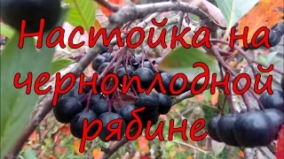 Настойка на черноплодной рябине.