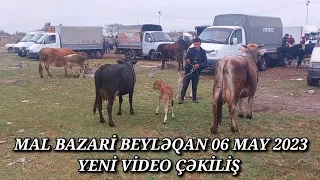 MAL BAZARİ BEYLƏQAN 06 MAY 2023 YENİ VİDEO ÇƏKİLİŞ #mal#bazari#beyləqan#qulu #beyleqanlı