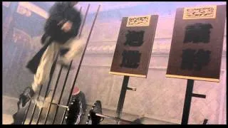 Iron Monkey (Rooftop Fight Scene)