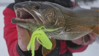 Lake Trout Jigging Techniques Ice Fishing