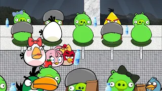 Angry Birds Seasons Animation: Back To School