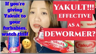 PART 2: PROBIOTICS!!! Yakult,mabisa bang pamurga sa aso’t pusa?? | REAL VET ADVICE!