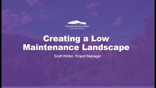 Low Maintenance Landscaping