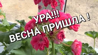 55ч🌹Где мы пропали?Купили дом на юге