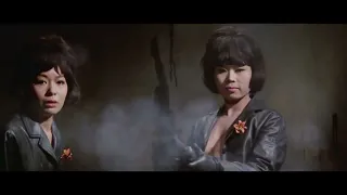 Radiance #43 Black Tight Killers (Yasuharu Hasebe, 1966) New Trailer