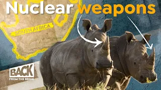 Why Radioactivity is the Rhino's Last Chance | Back from the Brink