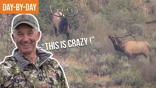 SUPER TAG Elk Hunt in Idaho | BULL ELK EVERYWHERE! (ep.1)