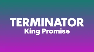 King Promise - Terminator (Lyrics)| I cos who're u to judge me, i be like terminator, i dey deliver