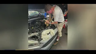 Mechanics find massive snake in car