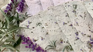 How to Make Paper! DIY Plantable Seed Paper