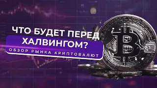 ЧТО БУДЕТ ПЕРЕД ХАЛВИНГОМ? | ОБЗОР РЫНКА КРИПТОВАЛЮТ