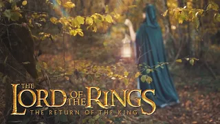 Houses of Healing (Arwen's song) - The Lord of the Rings | harp/vocal cover by Brume