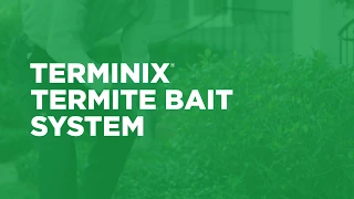 Terminix Termite Bait Stations: How Do They Work?