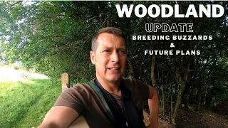 WOODLAND UPDATE for WILDLIFE PHOTOGRAPHY | Woodland Habitat Plans for the Future & Breeding Buzzards