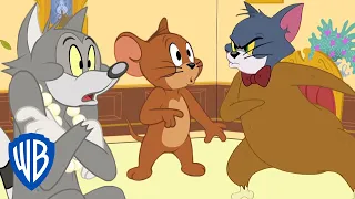 Tom i Jerry po polsku | Złodziejska małpka | WB Kids