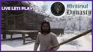 MEDIEVAL DYNASTY 🗡️ Langsam wirds heimelig! | LIVE LETS PLAY | #15