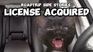 CAT MEMES: LICENSE ACQUIRED PT.3| Roadtrip Side Stories