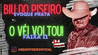 Biu Do Piseiro - Dentro Da Evoque Prata ( Cd Novo De Abril 2023 | o Véi Voltou - Faixa 11 )