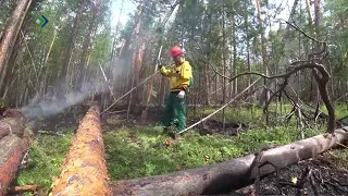 Коми лесопожарный центр продолжает набор лесных пожарных