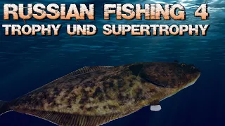 Zwei Giganten am Haken, Supertrophy und Trophy am Meer! | Russian Fishing 4! | PantoffelPlays